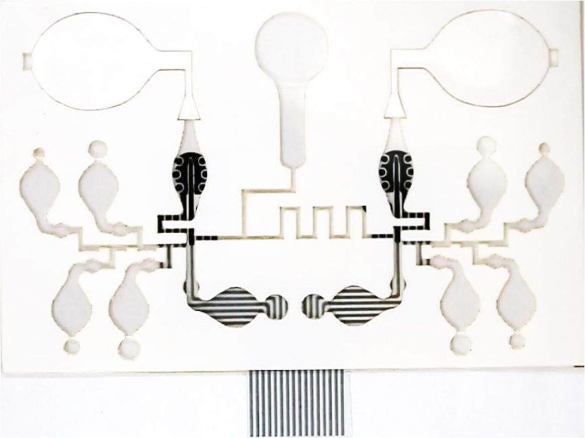 A capillary microfluidic device with reservoirs, serpentine channels and printed electrodes