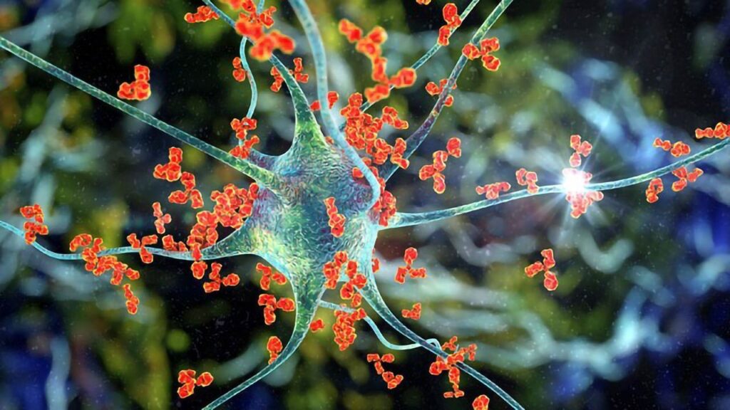 Neuroscience Antibodies
