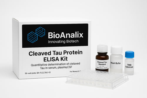 Cleaved Tau protein